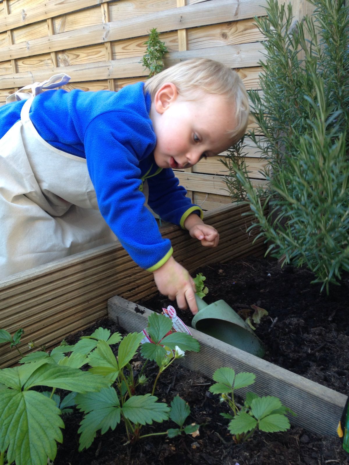 jardiner avec les enfants